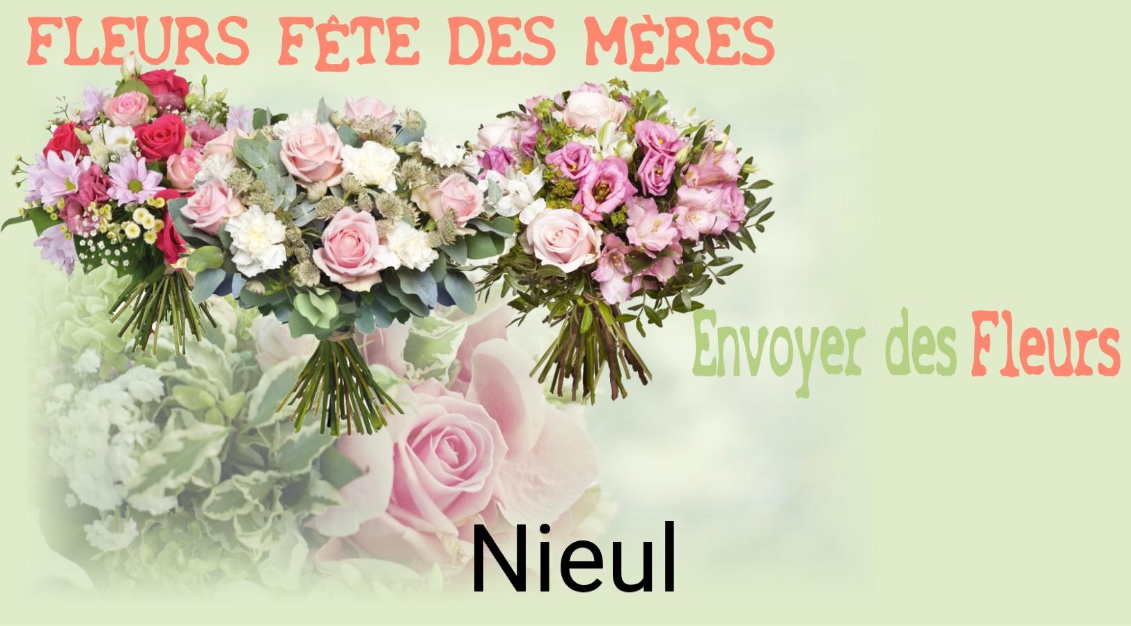 Bouquet de Fête des Mères livré à Nieul